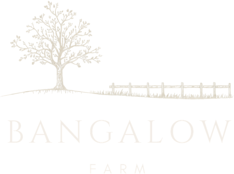 Bangalow Farm