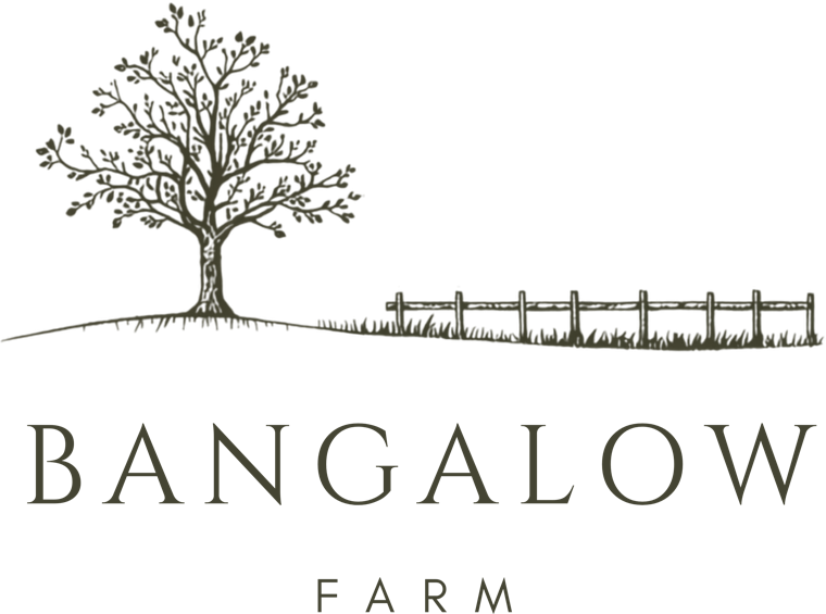 Bangalow Farm