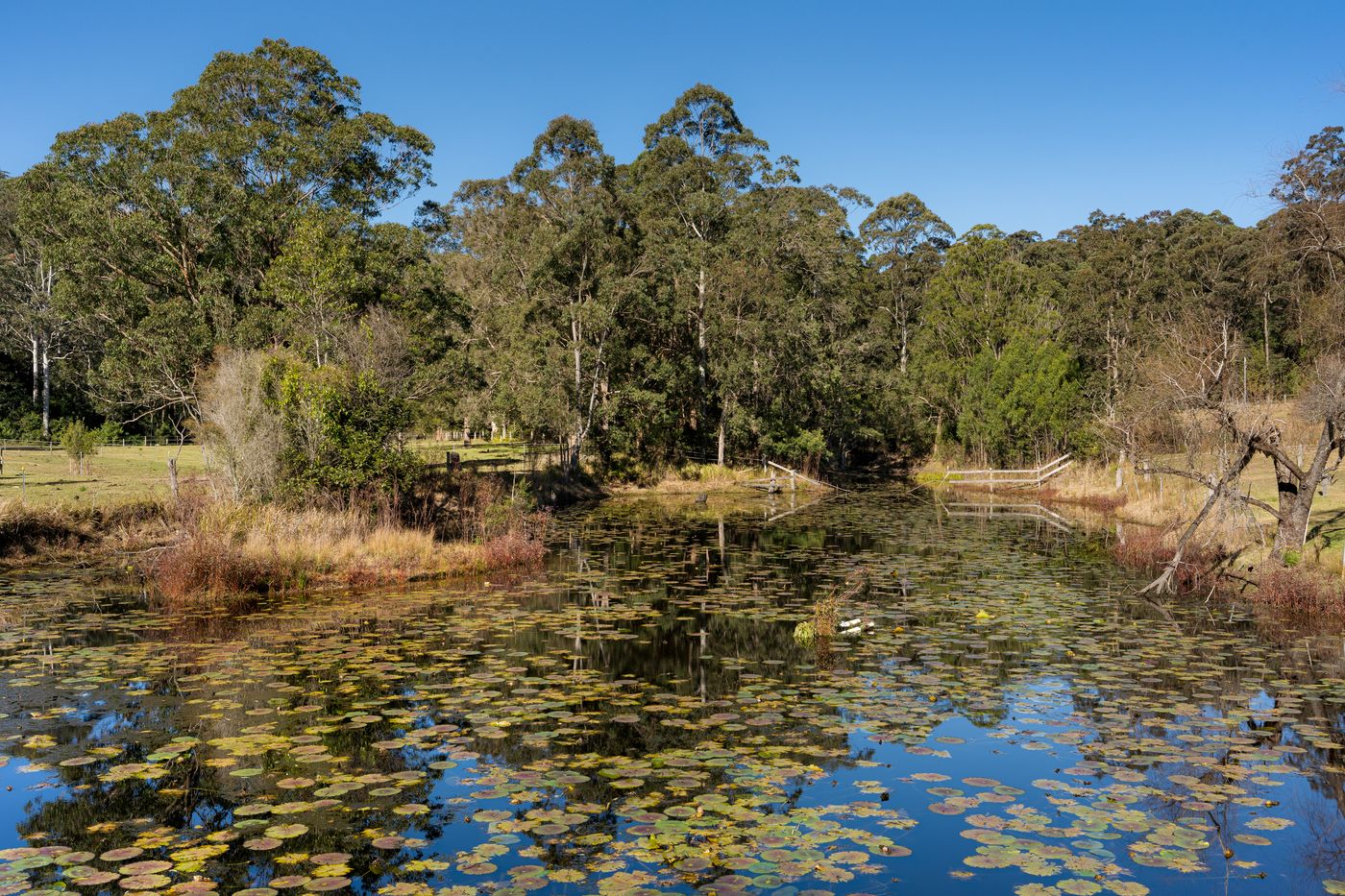 Bangalow Farm