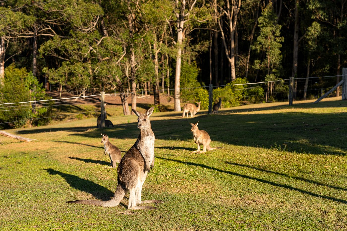 Bangalow Farm